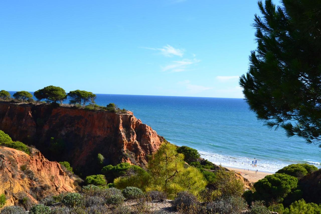 T0 Junto A Praia De Vale Centeanes / Carvoeiro Лагоа Экстерьер фото